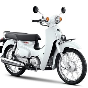 HONDA CUB 50cc