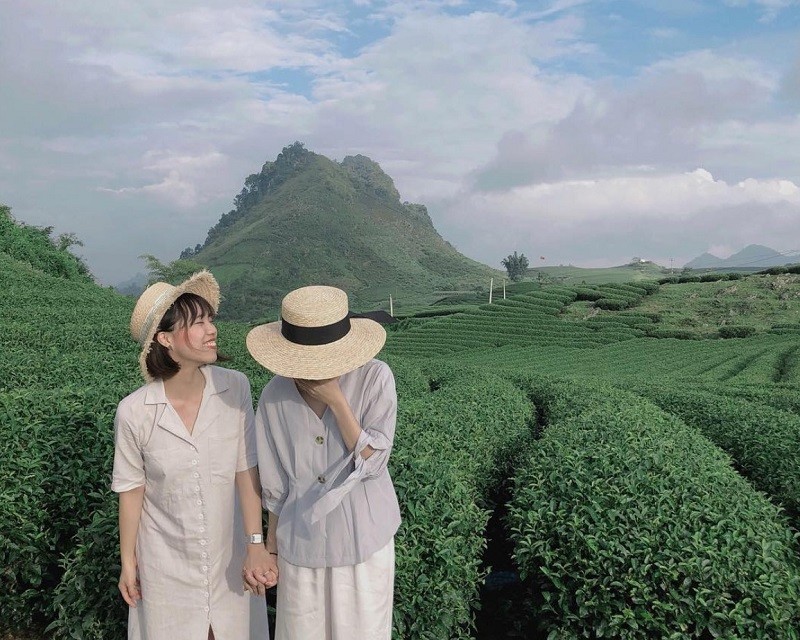 Kinh nghiệm du lịch đồi chè Mộc Châu chi tiết nhất 2023