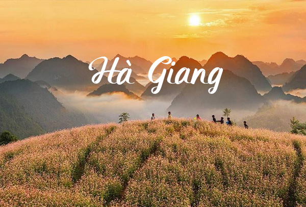 Tour du lịch Hà Giang 2 ngày 2 đêm [mới - hàng tuần]